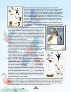 Zoology by Biome Teacher Manual 3rd–6th