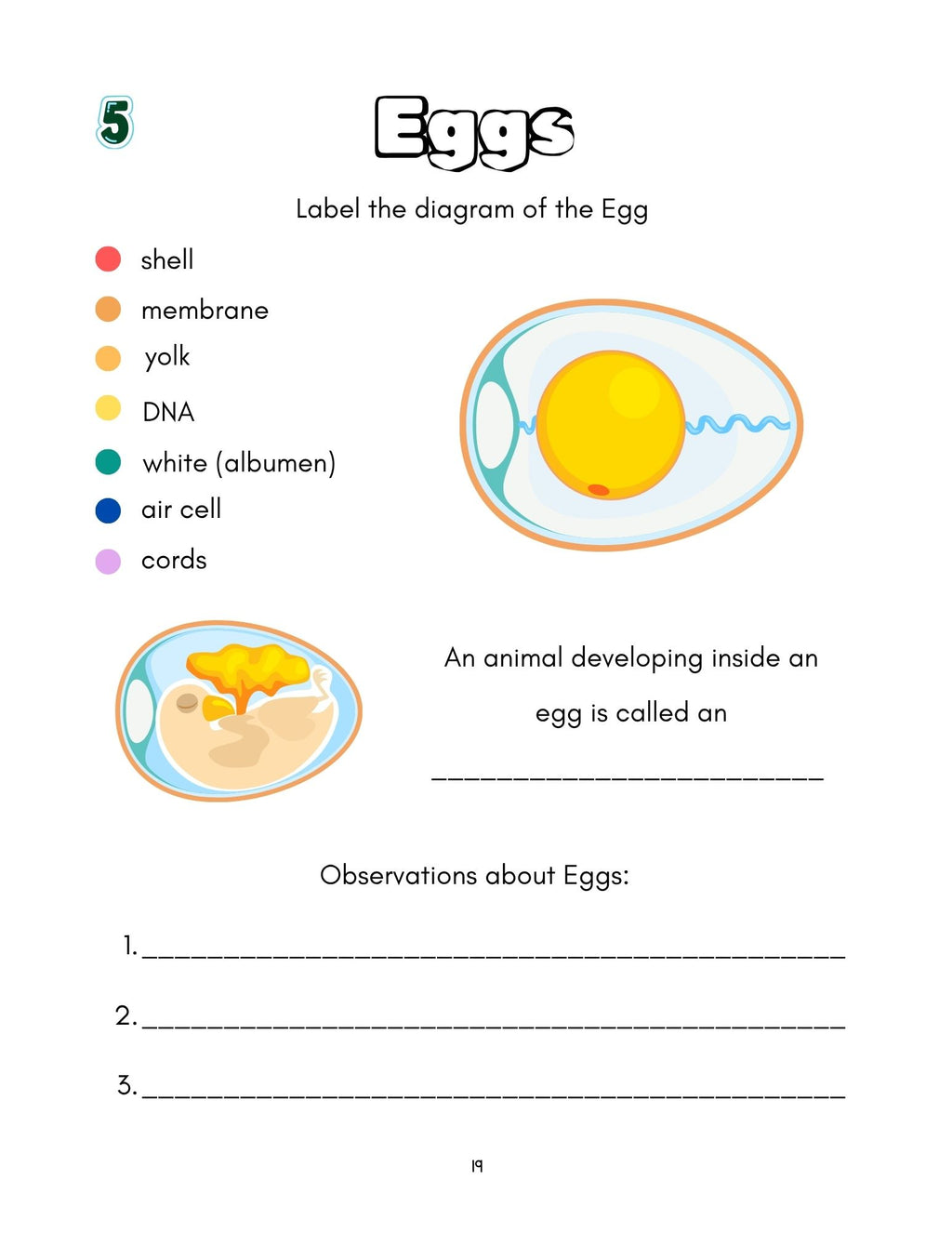Zoology by Biome Student Notebook 5th–6th