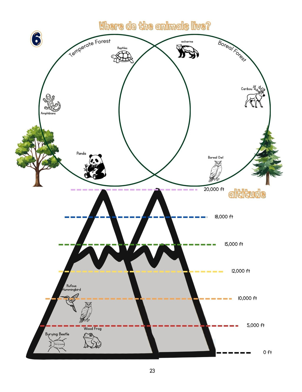 Zoology by Biome Curriculum Bundle 3rd–6th