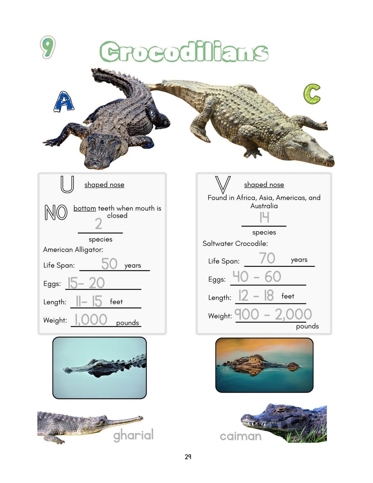 Zoology by Biome PreK–2nd Book Bundle