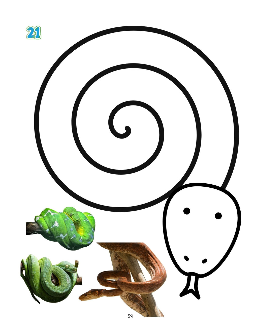 Zoology by Biome PreK–2nd Book Bundle
