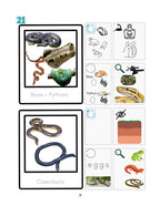 Zoology by Biome PreK–2nd Book Bundle