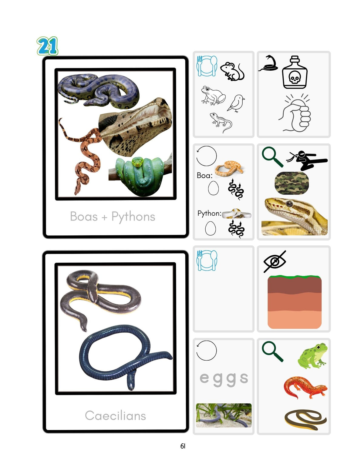 Zoology by Biome PreK–2nd Book Bundle