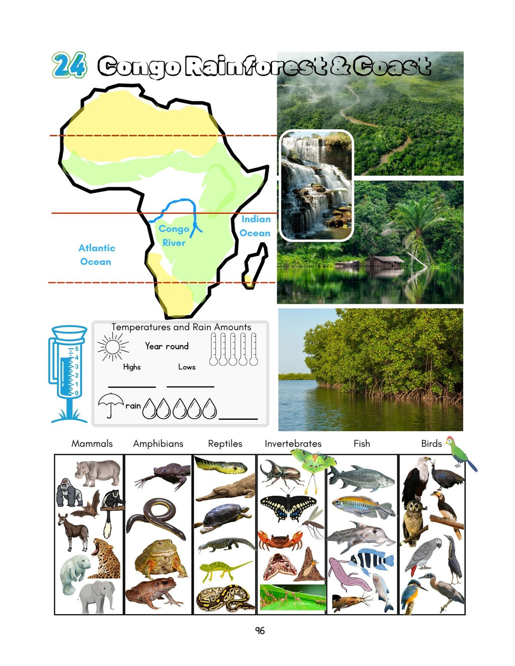 Zoology by Biome Curriculum Bundle 3rd–6th