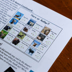 Zoology by Biome Curriculum Bundle 3rd–6th