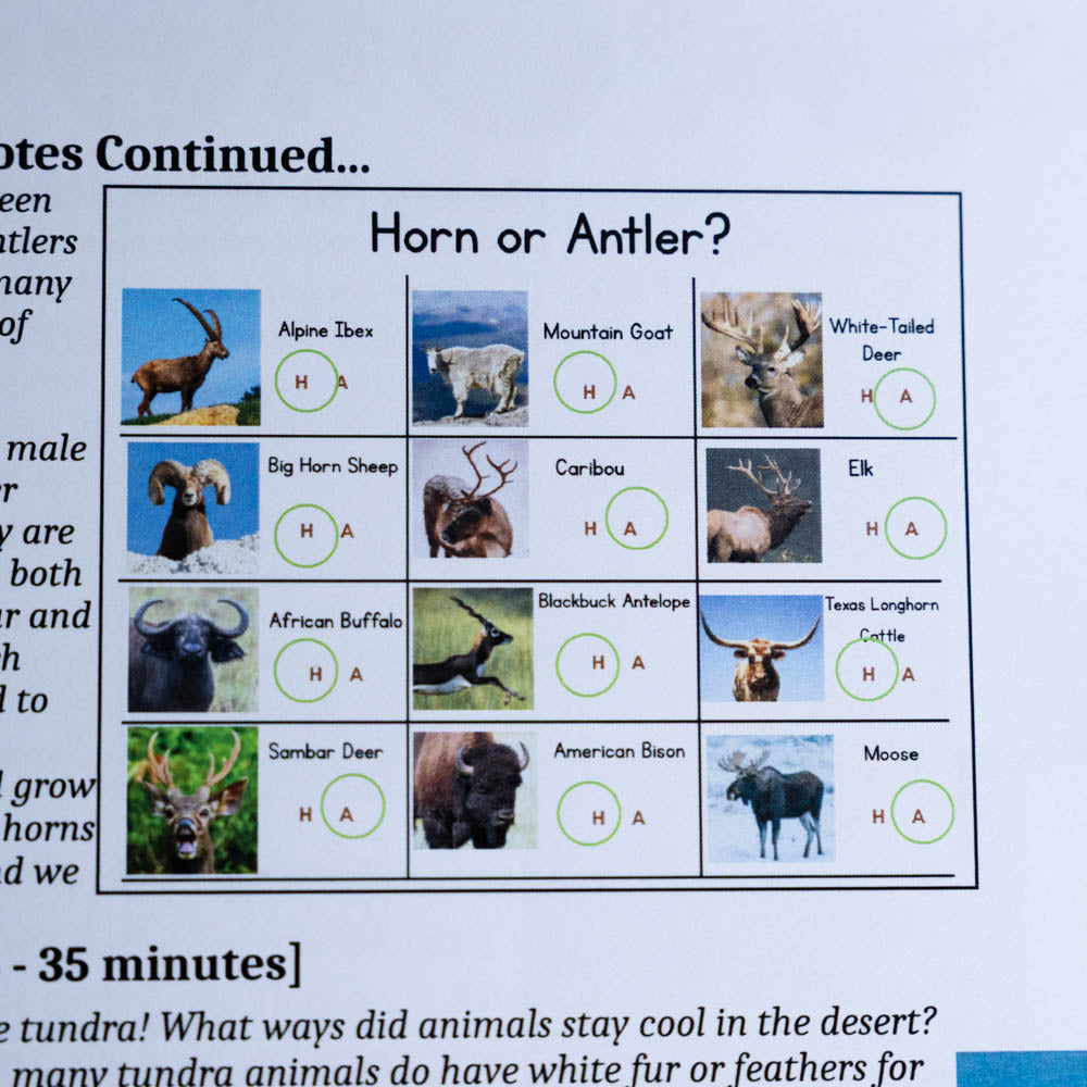 Zoology by Biome Teacher Manual 3rd–6th
