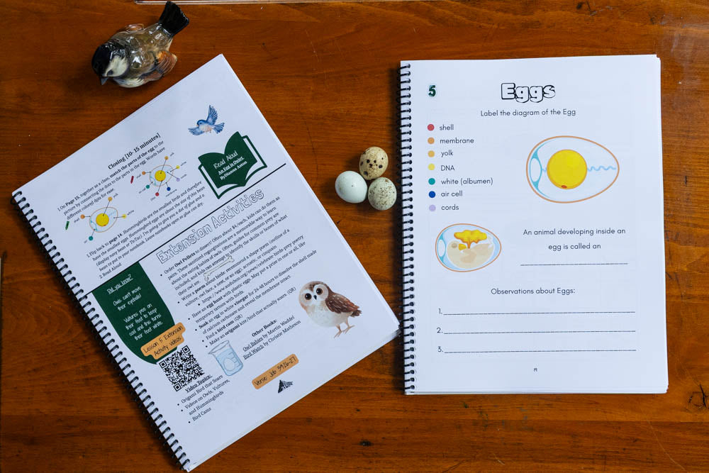 Zoology by Biome Curriculum Bundle 3rd–6th