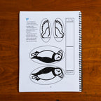 Zoology by Biome Student Notebook PreK–K
