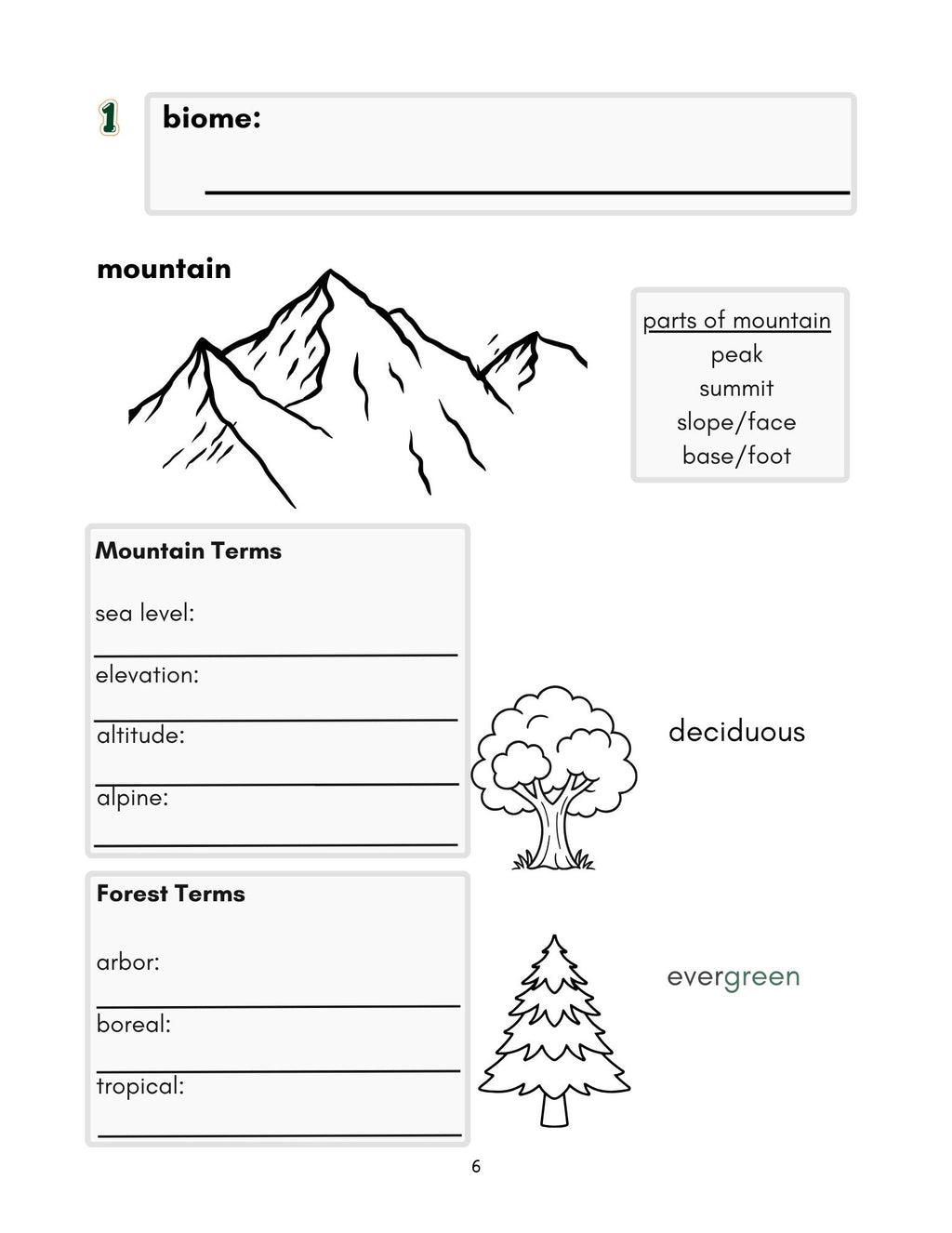 Zoology by Biome Curriculum Bundle 3rd–6th