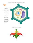 General Science 3rd-6th Book Bundle